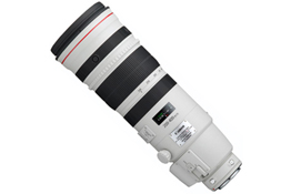 The Canon EF200-400mm f/4L IS USM EXTENDER 1.4x zoom lens. Yes, that's quite a mouthful. While not a particularly succinct title, this does tell you pretty much all you need to know.