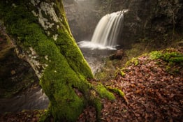 How To Use Focus Stacking For Landscape Photography