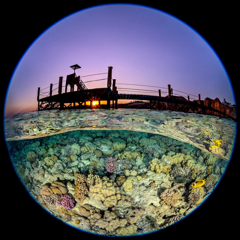 Shooting Underwater with the Nikon 8-15mm FX Fisheye