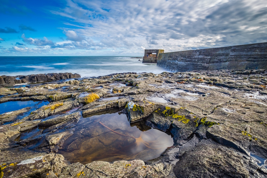 From a daffodil clad Warkworth Castle to puffins on the Farne Islands, Matty Graham shares some of his favourite locations when photographing in Northumberland