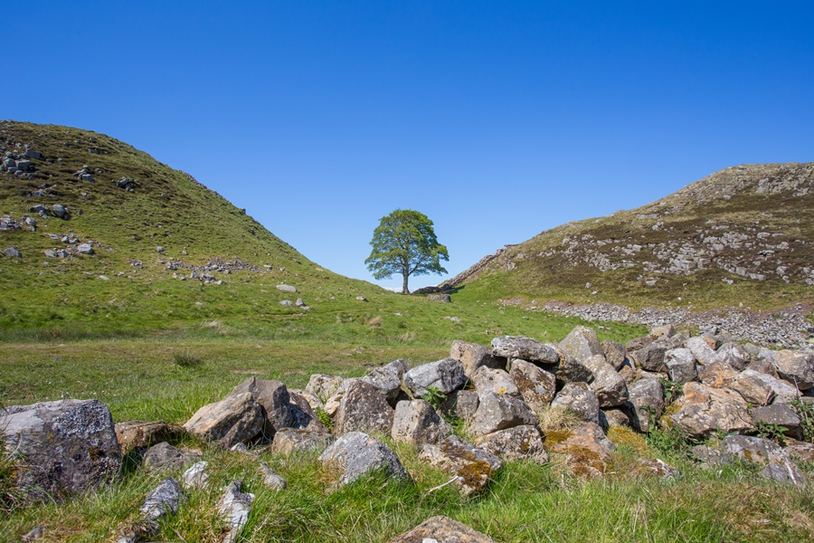 From a daffodil clad Warkworth Castle to puffins on the Farne Islands, Matty Graham shares some of his favourite locations when photographing in Northumberland