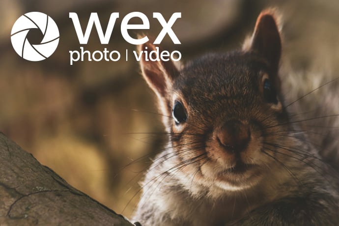 Trail cameras can capture the kinds of images and videos of wildlife that aren't possible any other way. We’ve picked out our absolute favourite trail and timelapse cameras from major manufacturers!