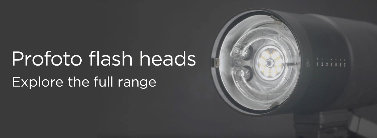 Profoto Flash Heads