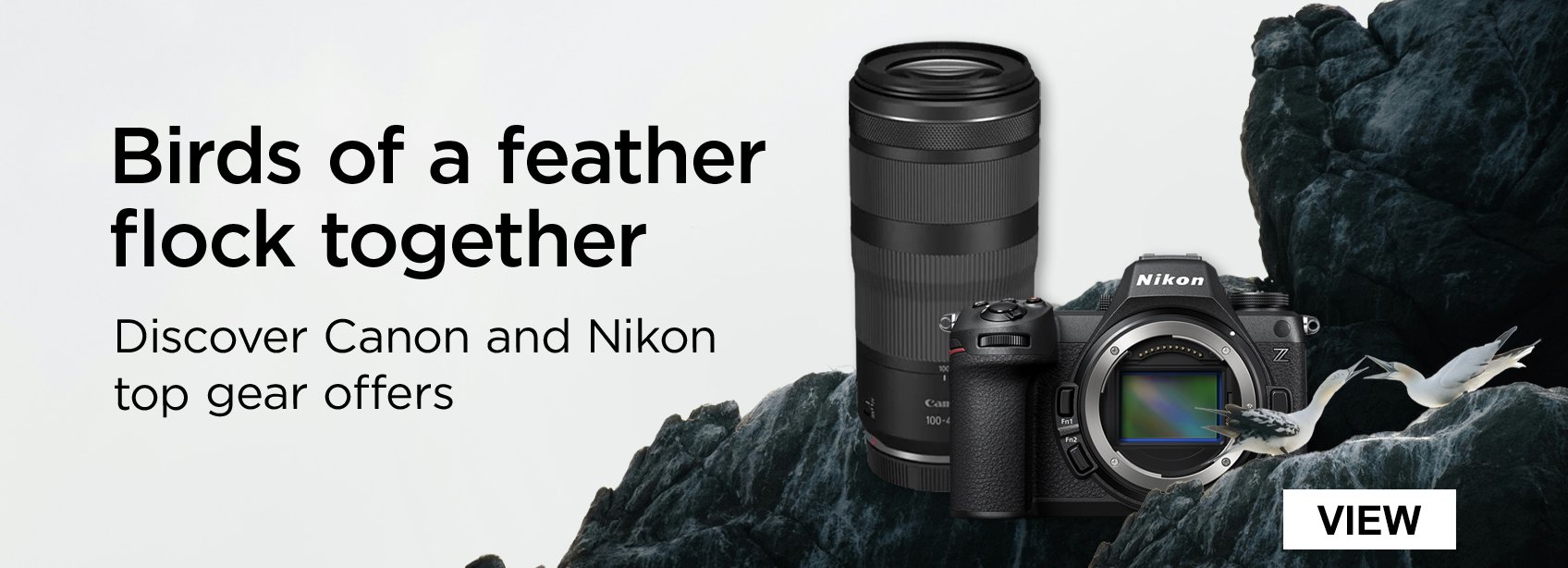 Birds of a feather flock together Discover Canon and Nikon top gear offers