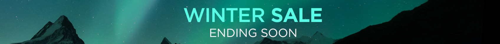Winter Sale 2025