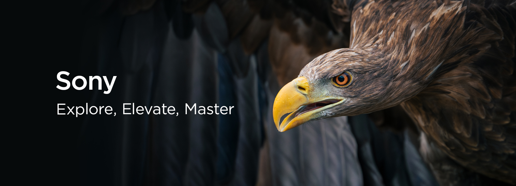 © Wex Photo Video Sony-Generic-ElevateMaster-H-290825.jpg