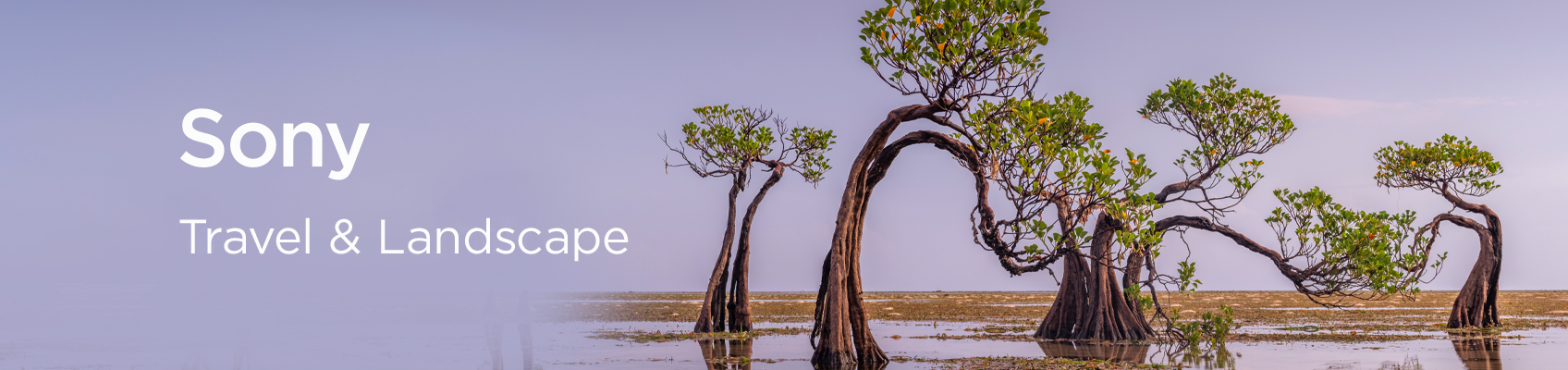 Landscape and Travel