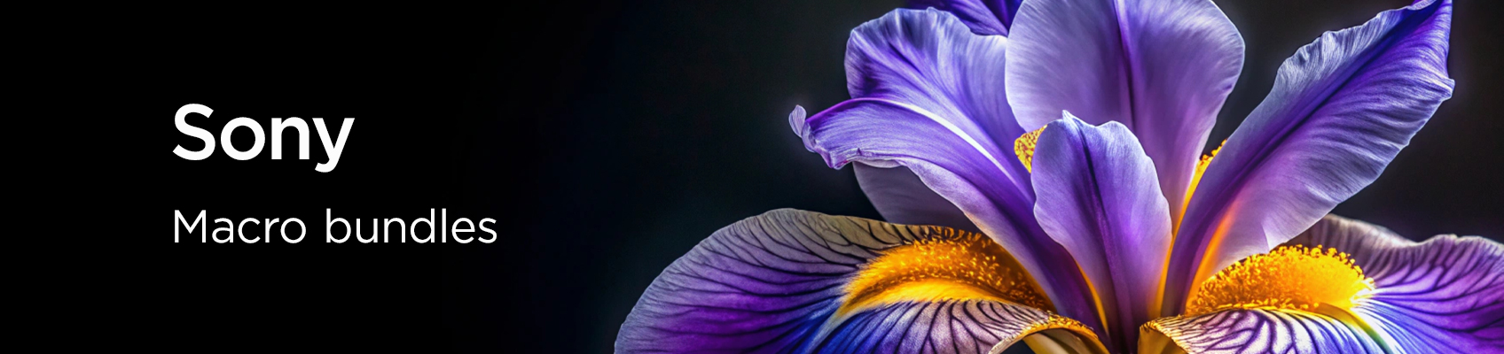 Macro