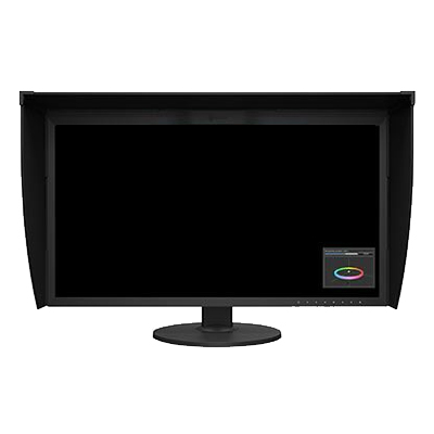 Eizo 31 inch monitor