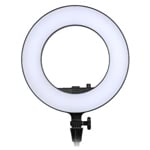 LED Ring Lights