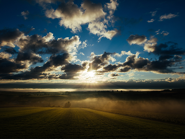 Sigma 20mm f1.4 sample image